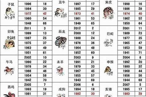 狗出生年份|屬狗年份｜2024年幾歲？屬狗出生年份+歲數一